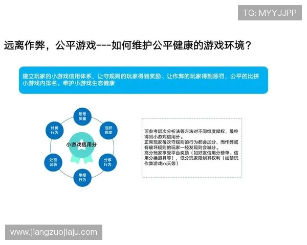 杭州排球队的战术创新与运营体系探讨分析